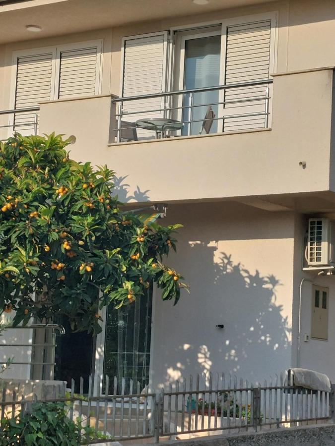 Apartment Dario Grebastica Bagian luar foto
